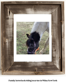 family horseback riding near me in Wilna, New York